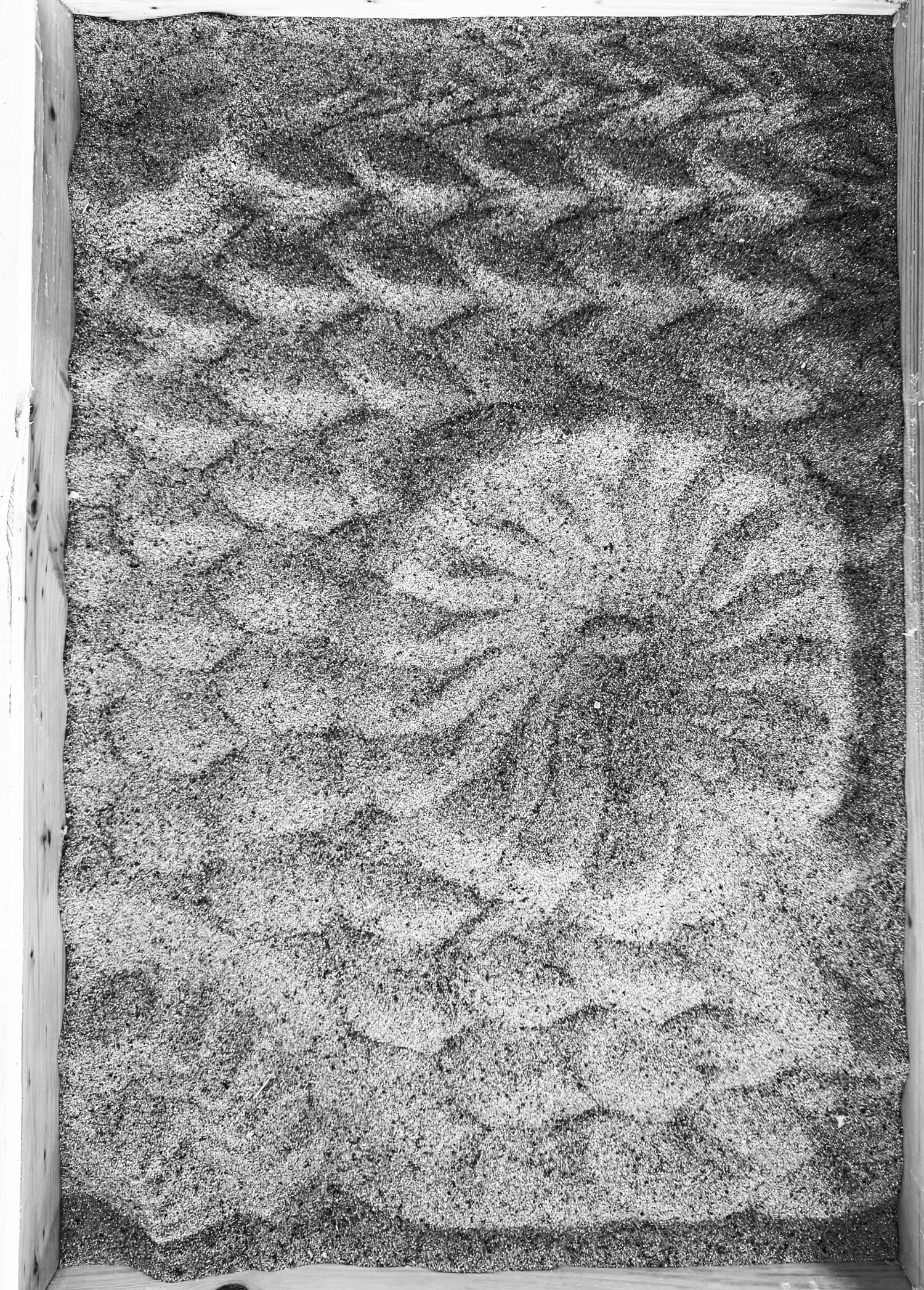 Sandscapes